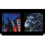 GODZILLA - Ultimate Illustrations [PRECOMMANDE]